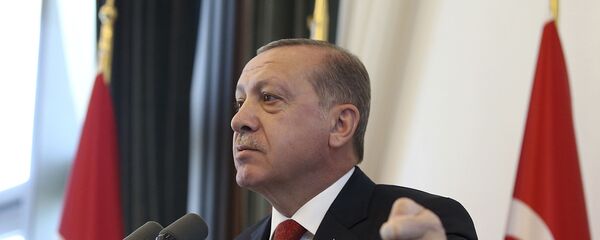 Президент Турции Реджеп Тайип Эрдоган во время выступления в Анкаре Президент Турции Реджеп Тайип Эрдоган во время выступления в Анкаре - اسپوتنیک افغانستان