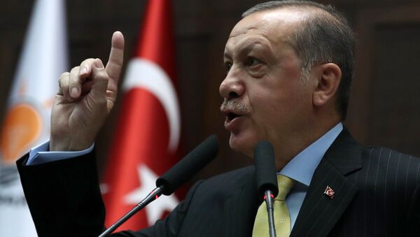 اردوغان: ترکیه از مبارزه با ترویزم در سوریه قاطعانهٔ حمایت می‌کند - اسپوتنیک افغانستان  