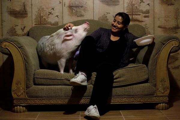یسل مندوزا و خوک خود را به نام بالو در خانه در سیوداد جوارز، مکزیک - اسپوتنیک افغانستان  