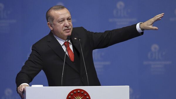 اردوغان: حضور نظامی امریکا در سوریه علیه ترکیه، روسیه و ایران است - اسپوتنیک افغانستان  