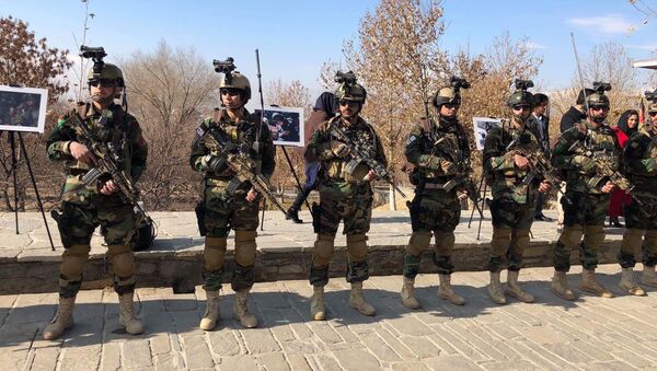 ده شورشی طالب در نیمروز توسط امنیت ملی بازداشت شدند - اسپوتنیک افغانستان  