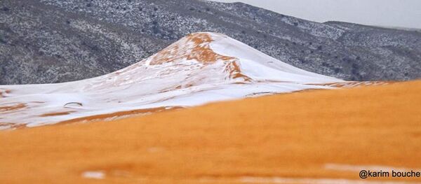 برف باری در افریقا برف باری در افریقا - اسپوتنیک افغانستان