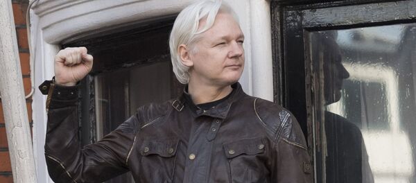 حملات گسترده سایبری به اکوادور پس از دستگیری آسانژ حملات گسترده سایبری به اکوادور پس از دستگیری آسانژ - اسپوتنیک افغانستان