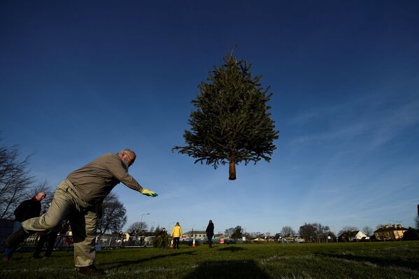 اشتراک کننده رقابت در پرتاب درختان کرسمس در ایرلند - اسپوتنیک افغانستان  
