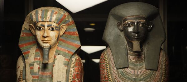 راز قدیمی مومیایی های مصر باستان افشا شد راز قدیمی مومیایی های مصر باستان افشا شد - اسپوتنیک افغانستان