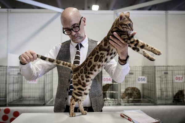 نمایشگاه حیوانات در پاریس - اسپوتنیک افغانستان  