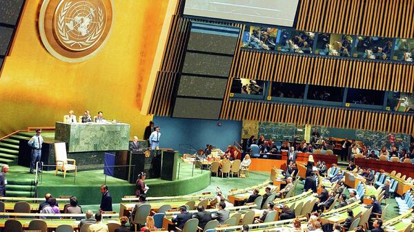 ملل متحد - اسپوتنیک افغانستان  