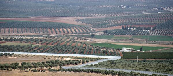 روسیه دستور ترک عفرین را به نظامیانش داد روسیه دستور ترک عفرین را به نظامیانش داد - اسپوتنیک افغانستان