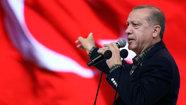 اردوغان: اردوی ترکیه کنترول کامل عفرین را بدست گرفت - اسپوتنیک افغانستان  