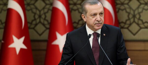 اردوغان از واشنگتن خواست تا تعهداتش را نسبت به تحویل F-35 تحقق بخشد اردوغان از واشنگتن خواست تا تعهداتش را نسبت به تحویل F-35 تحقق بخشد - اسپوتنیک افغانستان