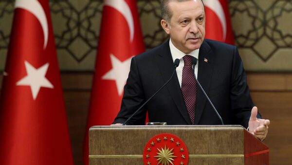 اردوغان از واشنگتن خواست تا تعهداتش را نسبت به تحویل F-35 تحقق بخشد - اسپوتنیک افغانستان  