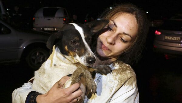 Женщина эвакуирует свою собаку во время наводнения в Тбилиси - اسپوتنیک افغانستان  