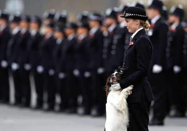 پولیس زن در لندن - اسپوتنیک افغانستان  