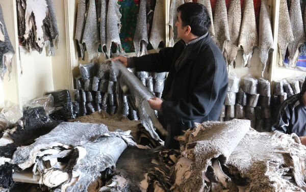 تولیدات پوست قره قل در افغانستان - اسپوتنیک افغانستان  