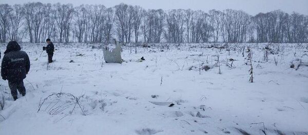 نخستین تصاویر از محل سقوط طیاره مسافربری در حومه مسکو+ویدیو نخستین تصاویر از محل سقوط طیاره مسافربری در حومه مسکو+ویدیو - اسپوتنیک افغانستان