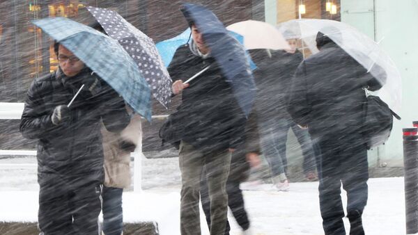 کشته و زخمی‌شدن بیش از ۶۰ تن در اثر برف‌باری‌های شدید در جاپان - اسپوتنیک افغانستان  