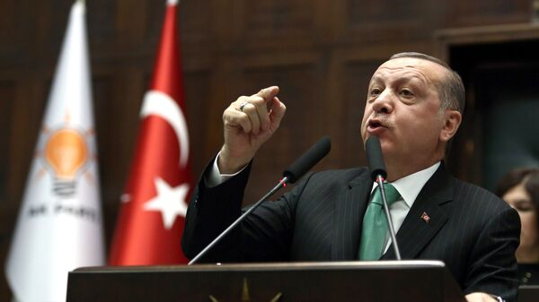 رجب اردوغان رئیس جمهور ترکیه - اسپوتنیک افغانستان  