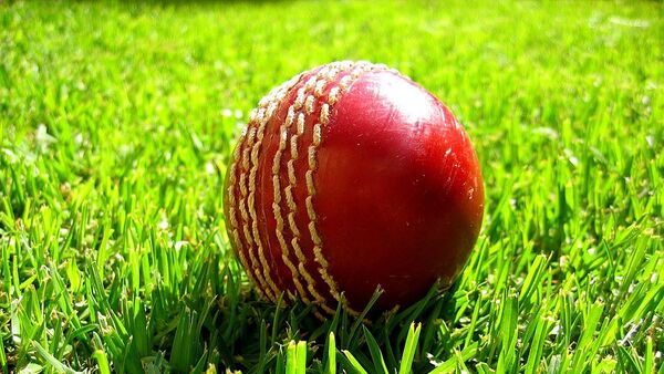 Cricket ball - اسپوتنیک افغانستان  