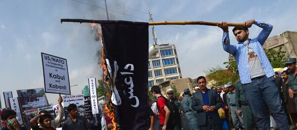 مولوی عبدالله مشهور به مولوی اسلم فاروقی رهبر جدید داعش در افغانستان تعین شده است - اسپوتنیک افغانستان  