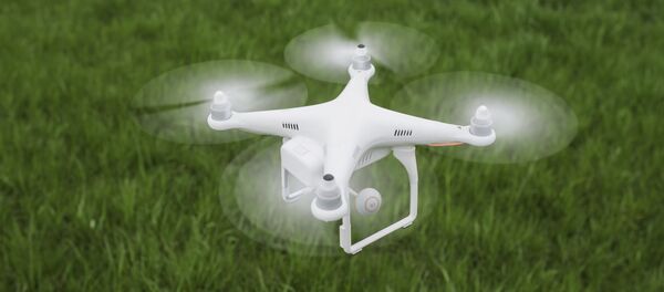 ثبت نام پهپاد که به جای زنبور عسل گرده افشانی می کند - اسپوتنیک افغانستان  