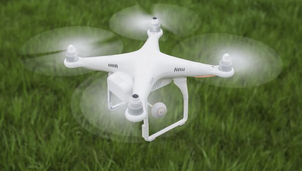 ثبت نام پهپاد که به جای زنبور عسل گرده افشانی می کند - اسپوتنیک افغانستان  