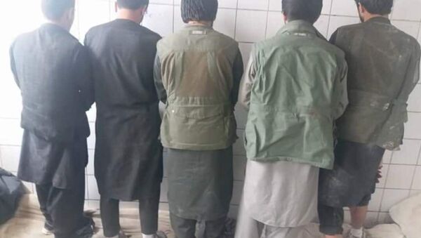 بازداشت یک گروه ۵ نفری آدم ربا از ساحه حوزه ی هشتم شهر کابل - اسپوتنیک افغانستان  