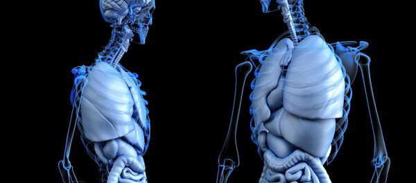 کشف یک عضو جدید در بدن انسان کشف یک عضو جدید در بدن انسان - اسپوتنیک افغانستان