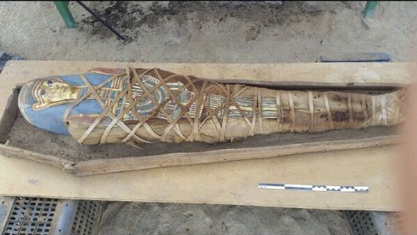 کشف مومیایی 2500 ساله در داخل یک تابوت خالی + عکس و ویدئو - اسپوتنیک افغانستان  