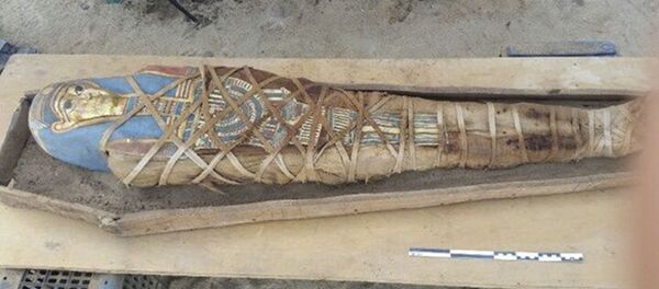 کشف مومیایی 2500 ساله در داخل یک تابوت خالی + عکس و ویدئو کشف مومیایی 2500 ساله در داخل یک تابوت خالی + عکس و ویدئو - اسپوتنیک افغانستان