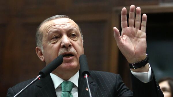 رجب طیب اردوغان، رئیس جمهور ترکیه  - اسپوتنیک افغانستان  