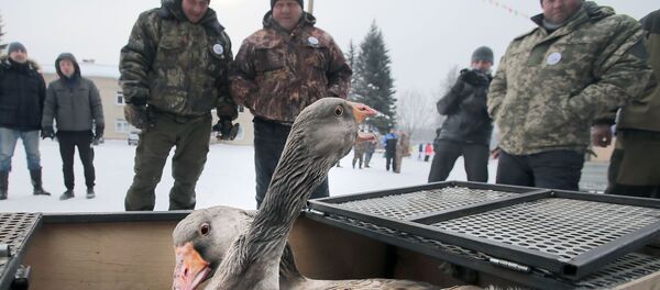 حمله غاز بر سربازان ترسؤ امریکائی حمله غاز بر سربازان ترسؤ امریکائی - اسپوتنیک افغانستان