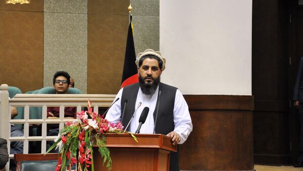 فضل الهادی مسلمیار، رئیس مشرانو جرگه - اسپوتنیک افغانستان  