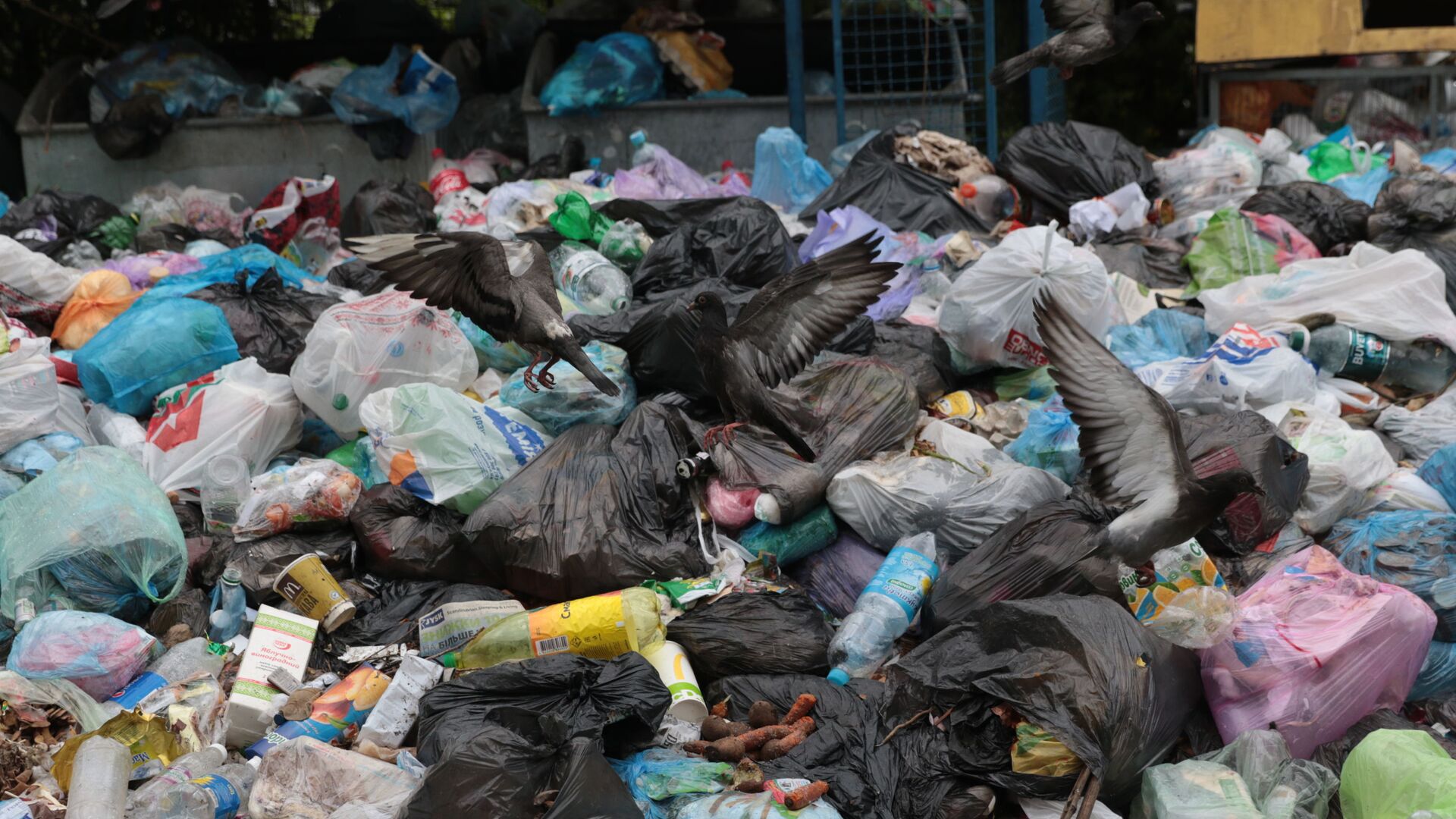 Невывезенный мусор на свалке во Львове - اسپوتنیک افغانستان  , 1920, 01.08.2022