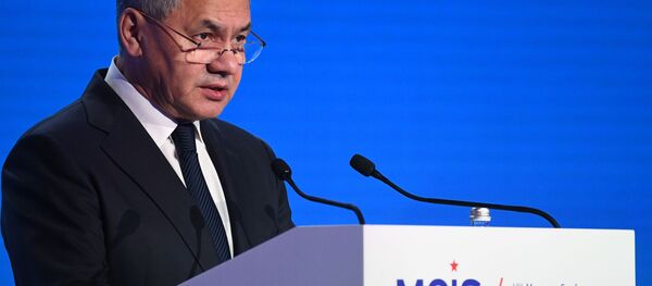 وزیر دفاع روسیه: افغانستان به پایگاه تازه داعش تبدیل خواهد شد وزیر دفاع روسیه: افغانستان به پایگاه تازه داعش تبدیل خواهد شد - اسپوتنیک افغانستان