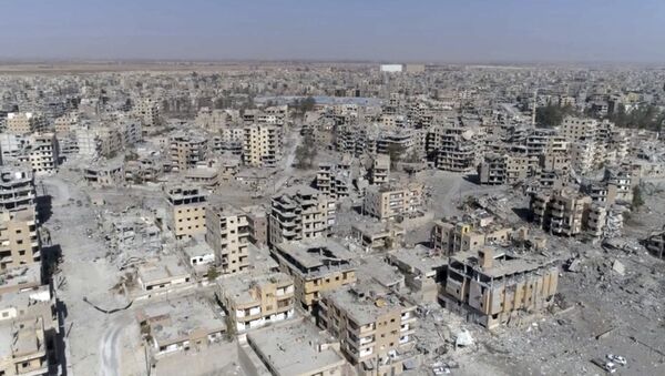 شهری به خاک یکسان شده «شواهد جدید از جنایات امریکا در سوریه» - اسپوتنیک افغانستان  
