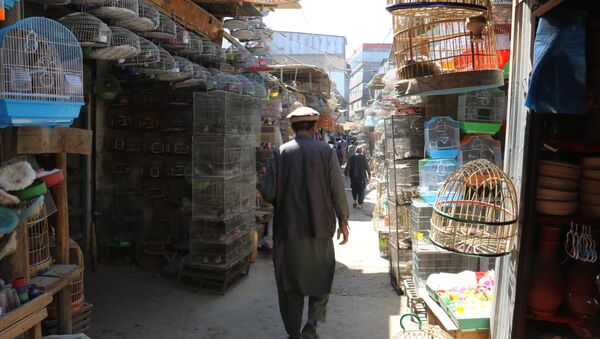 بازار پرندگان؛ دنیای متفاوت در قلب کابل - اسپوتنیک افغانستان  