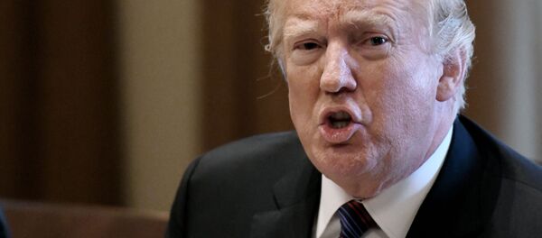 ترامپ: تصمیم در مورد سوریه عنقریب اتخاذ خواهد شد ترامپ: تصمیم در مورد سوریه عنقریب اتخاذ خواهد شد - اسپوتنیک افغانستان