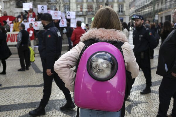 دختر جوان با پشک در جریان تظاهرات در حمایت از رئیس جمهور سابق برازیل - اسپوتنیک افغانستان  