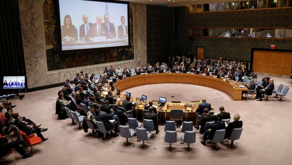 قطعنامهٔ پیشنهادی روسیه در شورای امنیت رد شد - اسپوتنیک افغانستان  