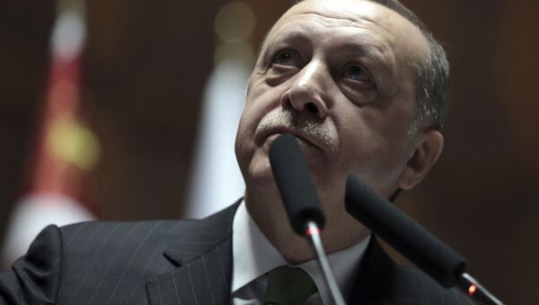 اردوغان مبارزات انتخاباتی خود را آغاز کرد - اسپوتنیک افغانستان  
