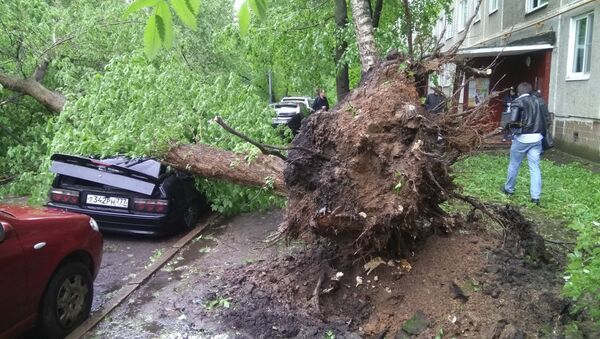 شکستن حدود ۶۰۰ درخت و تخریب ۹۲ موتر در نتیجهٔ طوفان شدید در مسکو - اسپوتنیک افغانستان  
