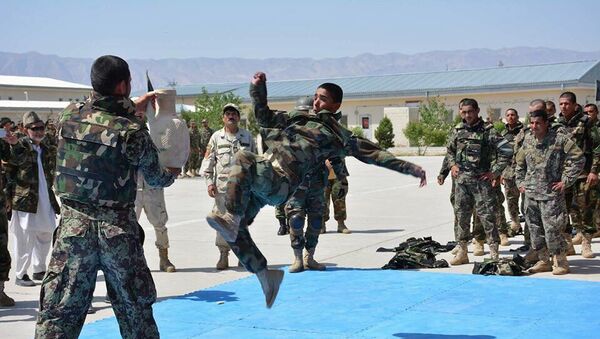  یک سوم بودجۀ ملی سالانه در بخش نظامی هزینه می‌شود  - اسپوتنیک افغانستان  