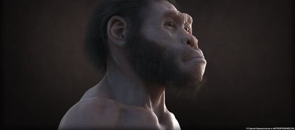 صحنه از فلم کارتونی Homo naledi: رویارویی دو جهان صحنه از فلم کارتونی Homo naledi: رویارویی دو جهان - اسپوتنیک افغانستان
