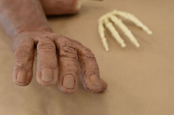 بازآفرینی اسکلت دست انسان اولیه - اسپوتنیک افغانستان  