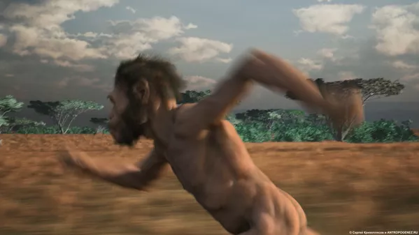 صحنه از فلم کارتونی Homo naledi: رویارویی دو جهان صحنه از فلم کارتونی Homo naledi: رویارویی دو جهان - اسپوتنیک افغانستان