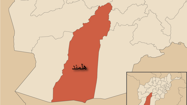 یک فرمانده طالبان در هلمند به دولت افغانستان تسلیم شد - اسپوتنیک افغانستان  