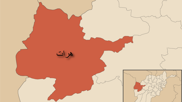 کشته شدن ولسوال نام نهاد طالبان برای ولسوالی پشت کوه هرات - اسپوتنیک افغانستان  