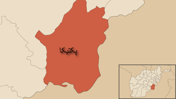 بازداشت 5 جاسوس گروه طالبان و شبکه‌ی حقانی در پکتیکا - اسپوتنیک افغانستان  
