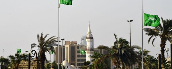 رئیس دوره ای گروه ۲۰ به عربستان رسید رئیس دوره ای گروه ۲۰ به عربستان رسید - اسپوتنیک افغانستان