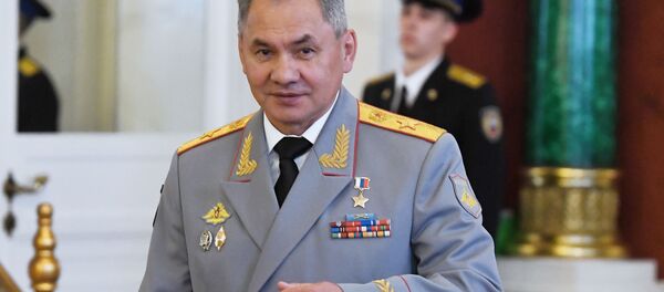 پرواز وزیر دفاع روسیه بر فراز سوریه+ویدیو - اسپوتنیک افغانستان  